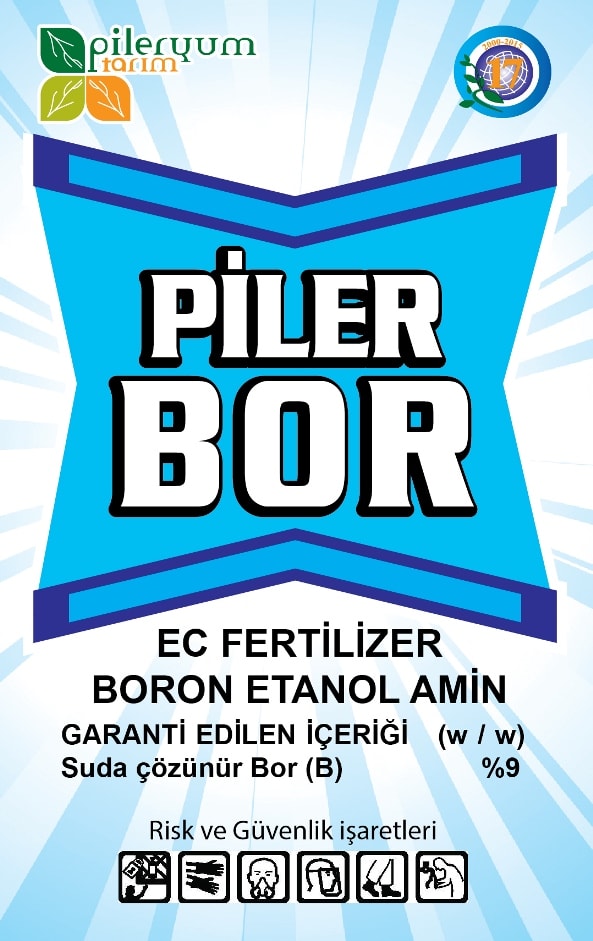 PİLER BOR